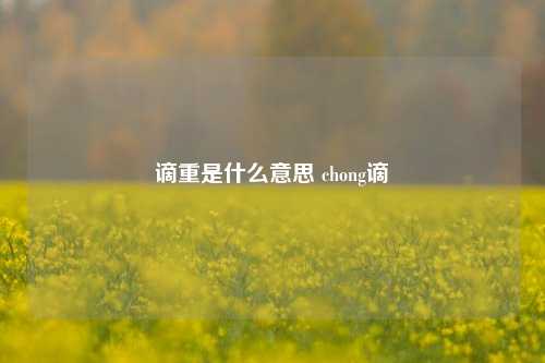 谪重是什么意思 chong谪