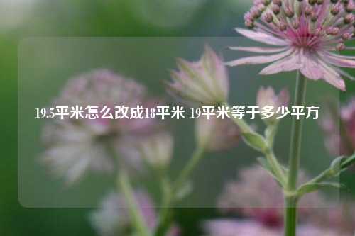 19.5平米怎么改成18平米 19平米等于多少平方