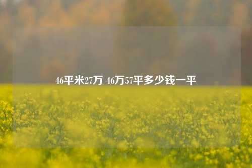 46平米27万 46万57平多少钱一平