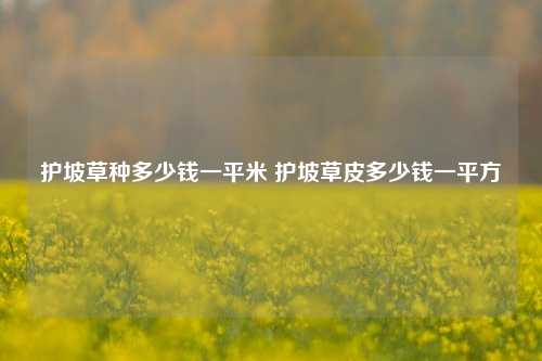 护坡草种多少钱一平米 护坡草皮多少钱一平方