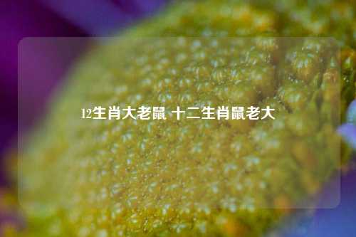 12生肖大老鼠 十二生肖鼠老大