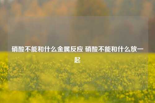 硝酸不能和什么金属反应 硝酸不能和什么放一起