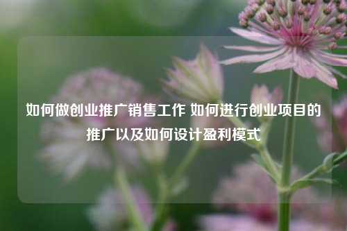 如何做创业推广销售工作 如何进行创业项目的推广以及如何设计盈利模式