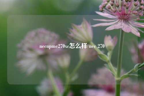 necnpme270xc怎么样 nec 270