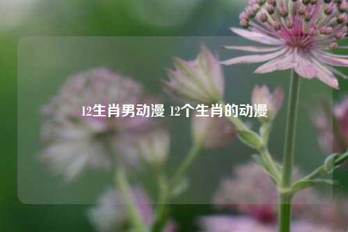 12生肖男动漫 12个生肖的动漫