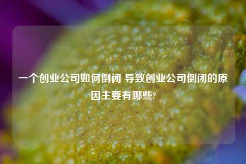 一个创业公司如何倒闭 导致创业公司倒闭的原因主要有哪些?