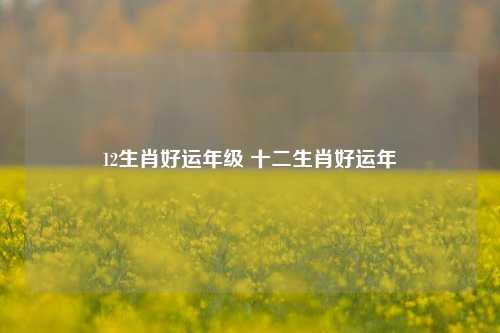 12生肖好运年级 十二生肖好运年