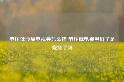 电压低液晶电视会怎么样 电压低电视黑屏了是烧坏了吗