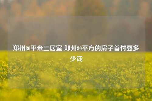 郑州80平米三居室 郑州80平方的房子首付要多少钱