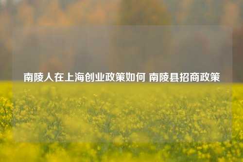 南陵人在上海创业政策如何 南陵县招商政策