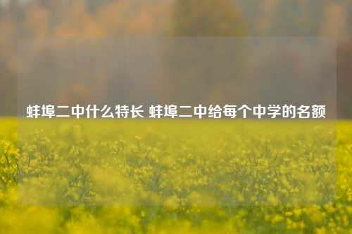 蚌埠二中什么特长 蚌埠二中给每个中学的名额