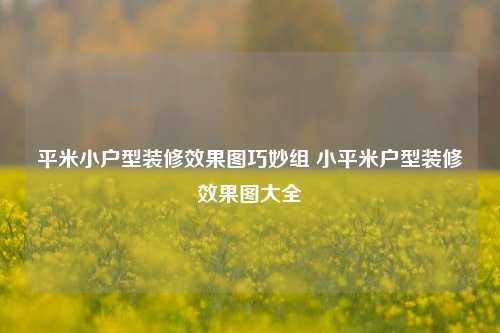 平米小户型装修效果图巧妙组 小平米户型装修效果图大全