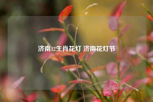 济南12生肖花灯 济南花灯节