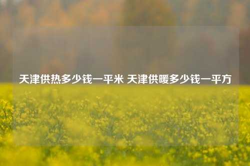 天津供热多少钱一平米 天津供暖多少钱一平方