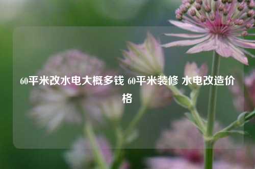 60平米改水电大概多钱 60平米装修 水电改造价格