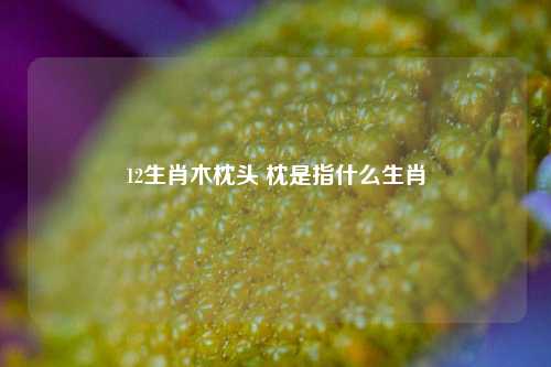 12生肖木枕头 枕是指什么生肖