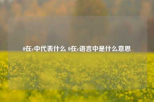 0在c中代表什么 0在c语言中是什么意思