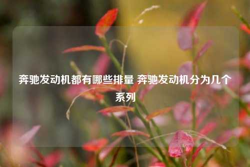 奔驰发动机都有哪些排量 奔驰发动机分为几个系列