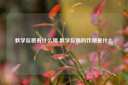 教学反思有什么用 教学反思的作用是什么