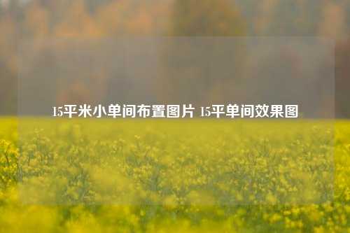 15平米小单间布置图片 15平单间效果图