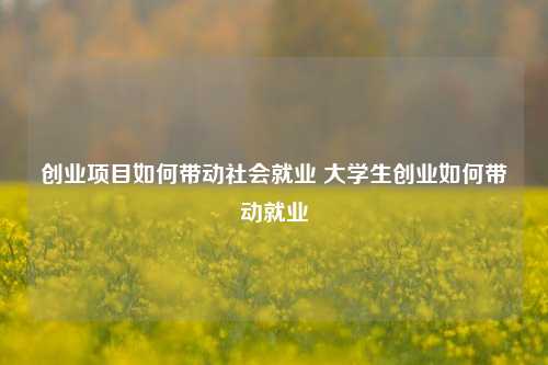 创业项目如何带动社会就业 大学生创业如何带动就业