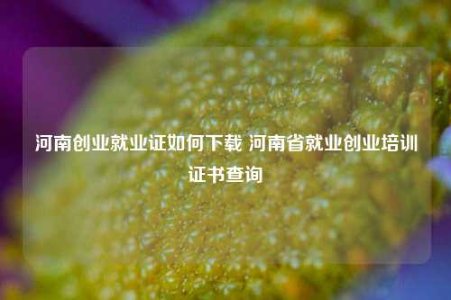 河南创业就业证如何下载 河南省就业创业培训证书查询