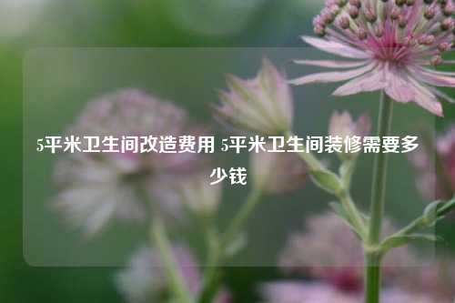 5平米卫生间改造费用 5平米卫生间装修需要多少钱