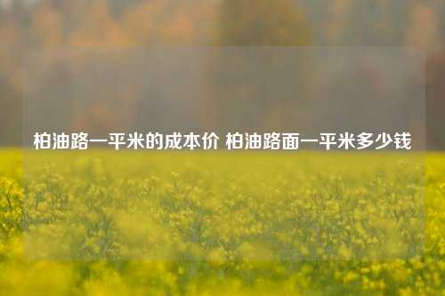 柏油路一平米的成本价 柏油路面一平米多少钱