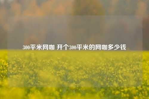 300平米网咖 开个300平米的网咖多少钱