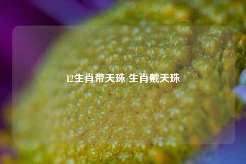 12生肖带天珠 生肖戴天珠